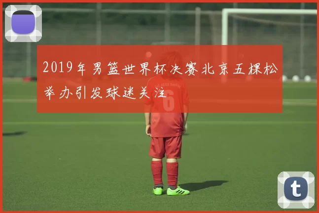 2019年男篮世界杯决赛北京五棵松举办引发球迷关注