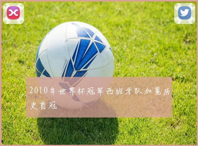 2010年世界杯冠军西班牙队加冕历史首冠
