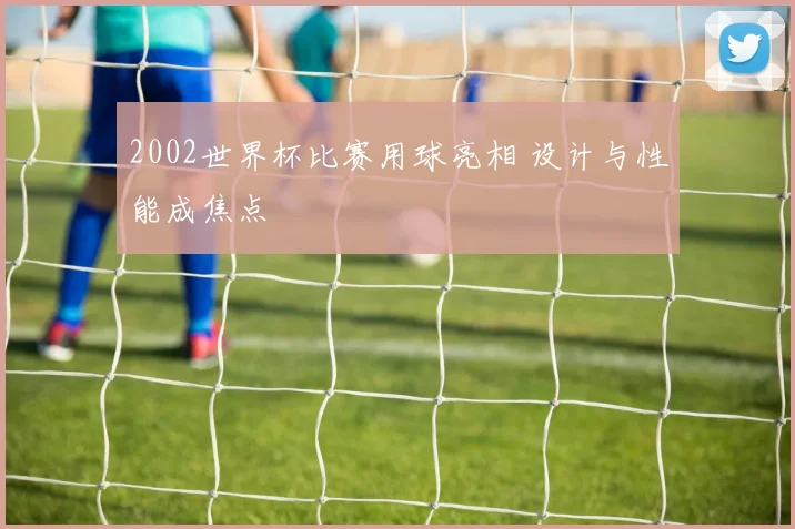 2002世界杯比赛用球亮相 设计与性能成焦点