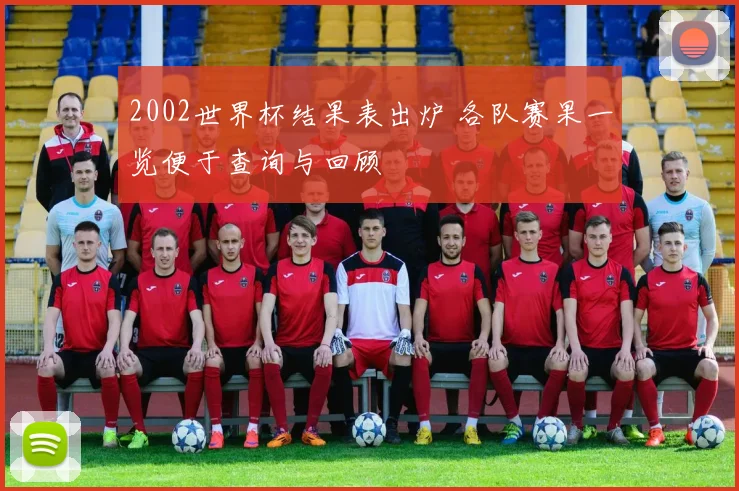 2002世界杯结果表出炉 各队赛果一览便于查询与回顾
